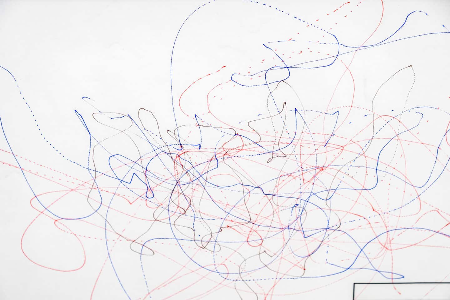 Luis Jacob at Patel Brown